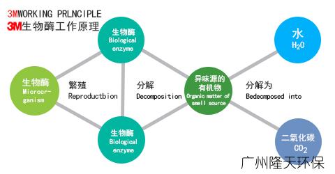 廣州除甲醛公司